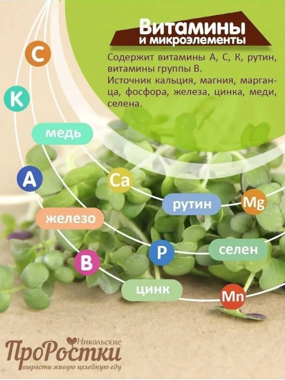Семена для микрозелени MegaMedia горчица - фото 3