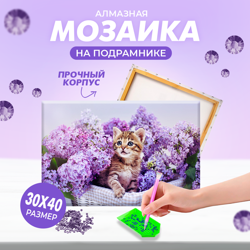 Алмазная мозаика Solmax Лавандовый котенок - фото 1