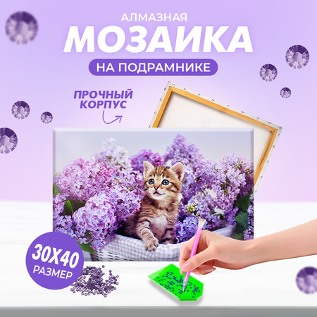 Алмазная мозаика Solmax Лавандовый котенок