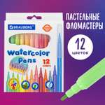 Фломастеры Юнландия 12 цв.