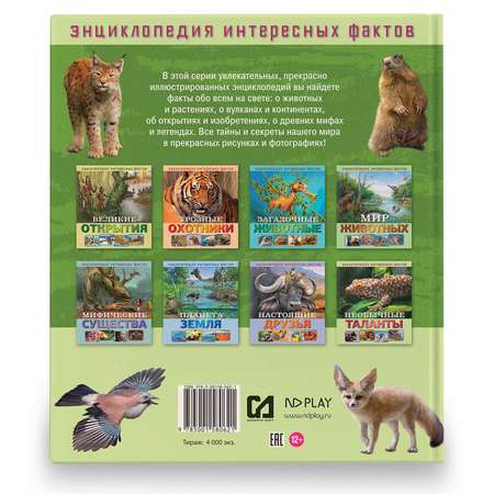 Книга ND PLAY Необычные таланты