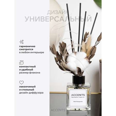 Диффузор с сухоцветами в Премиум тубусе Accents Black Pomegranate