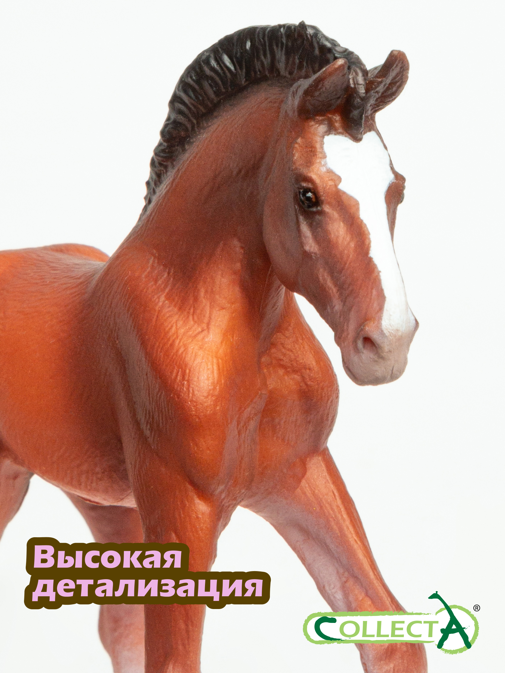Фигурка Collecta Жеребёнок Клейдесдальский - фото 3