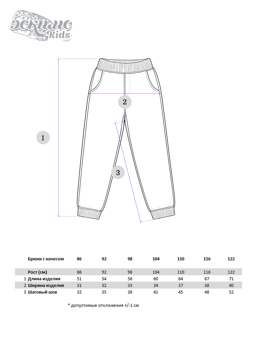 Брюки Эскимо у-12-801серый - фото 5