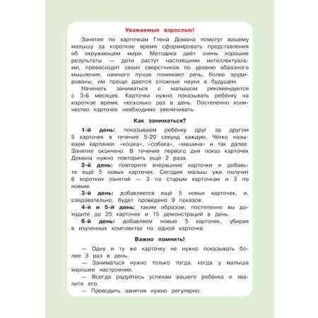Книга Эксмо Развивающие карточки Домана. Нейротренировка малышей