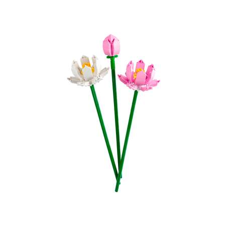 Конструктор LEGO Botanicals Цветы лотоса 220 дет.