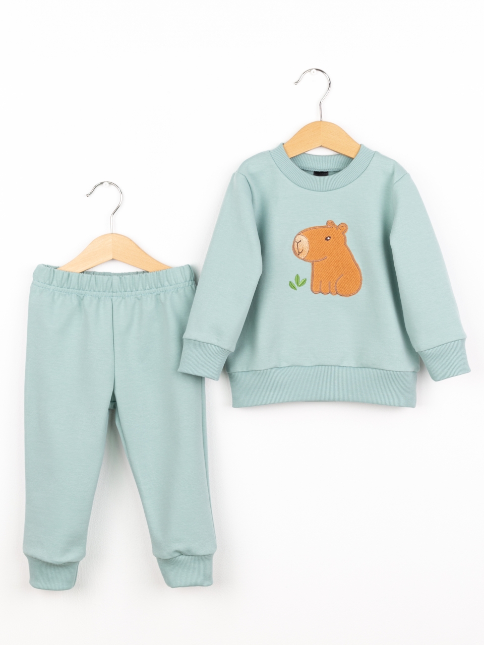 Костюм Baby boom КД568/2-Ф2 аппликация капибара мятно-голубой - фото 1