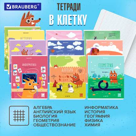 Тетрадь Brauberg 48 лист. 12 шт.
