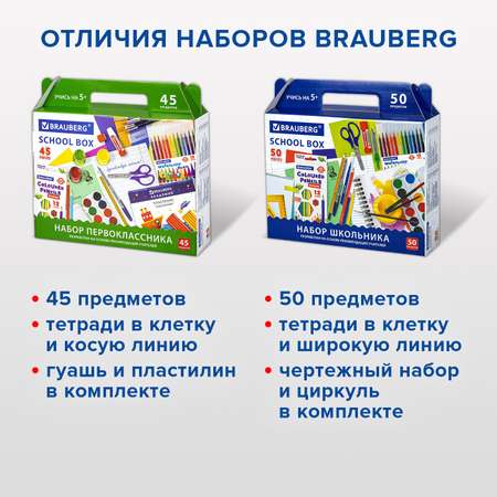 Набор школьника Brauberg 45 предм.