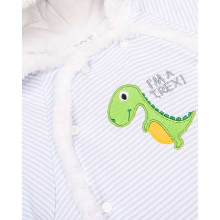 Комбинезон утепленный Baby Gо