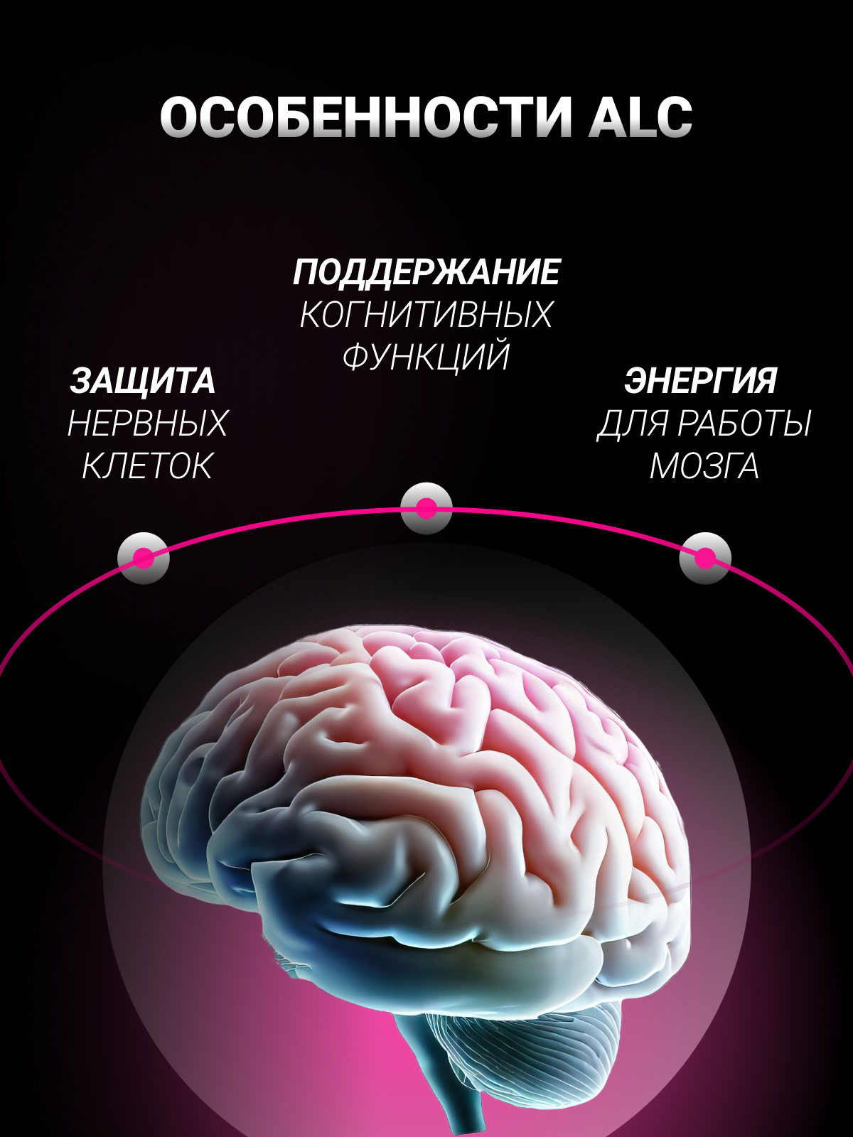 Ацетил-L-Карнитин BiotechUSA ALC 60 таблеток - фото 4