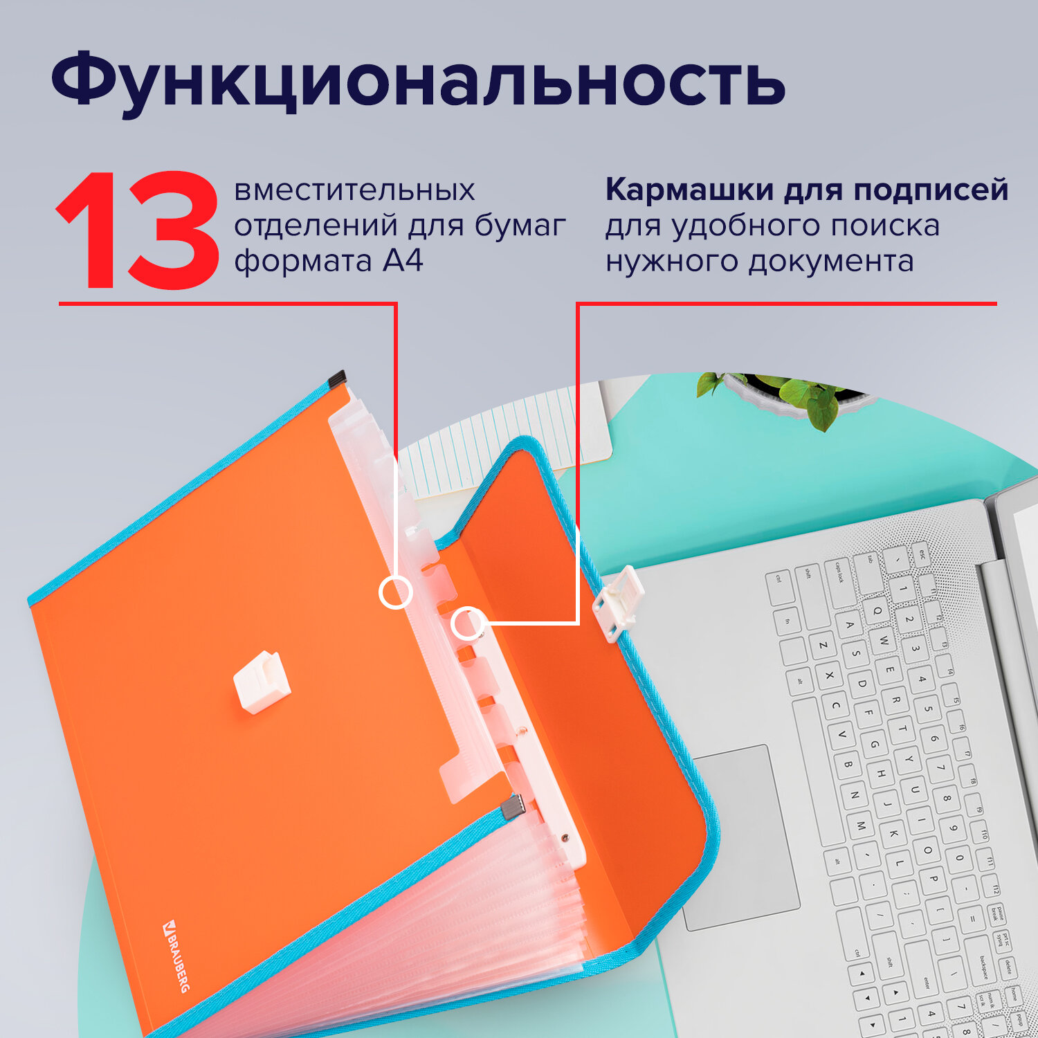 Папка для тетрадей Brauberg А4 - фото 4