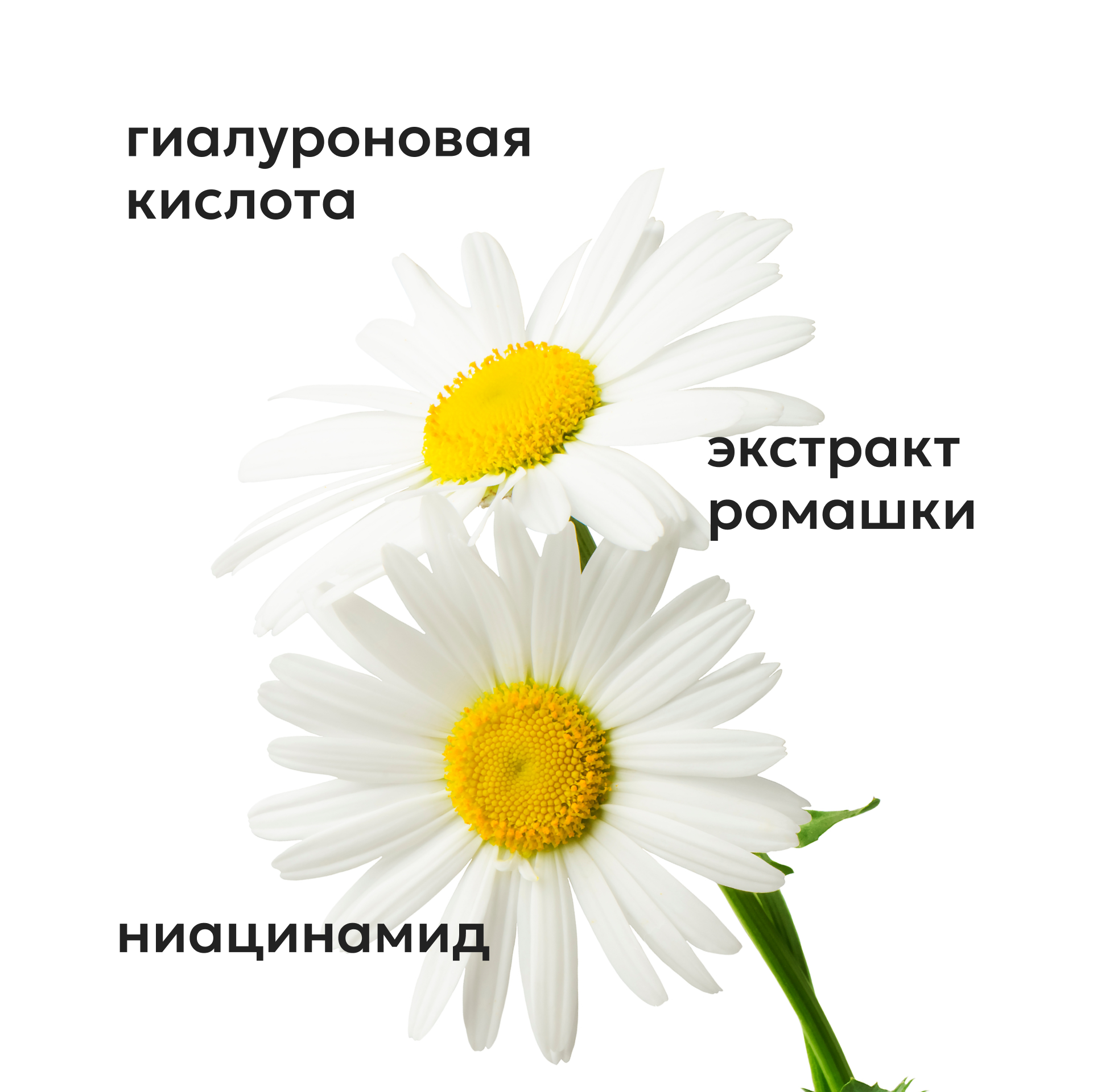 Сыворотка Likato Professional 30 мл - фото 3