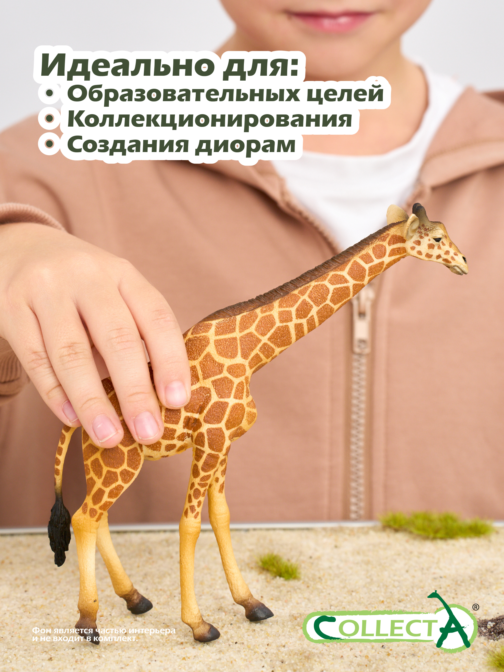 Фигурка Collecta Сетчатый жираф - фото 6