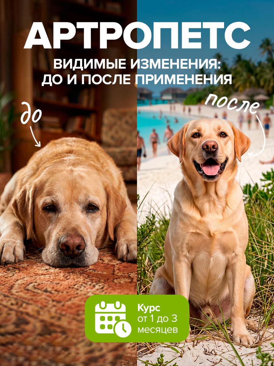 Корм для животных Pets health для укрепления костей и суставов собак и кошек глюкозамин хондроитин мсм - фото 10