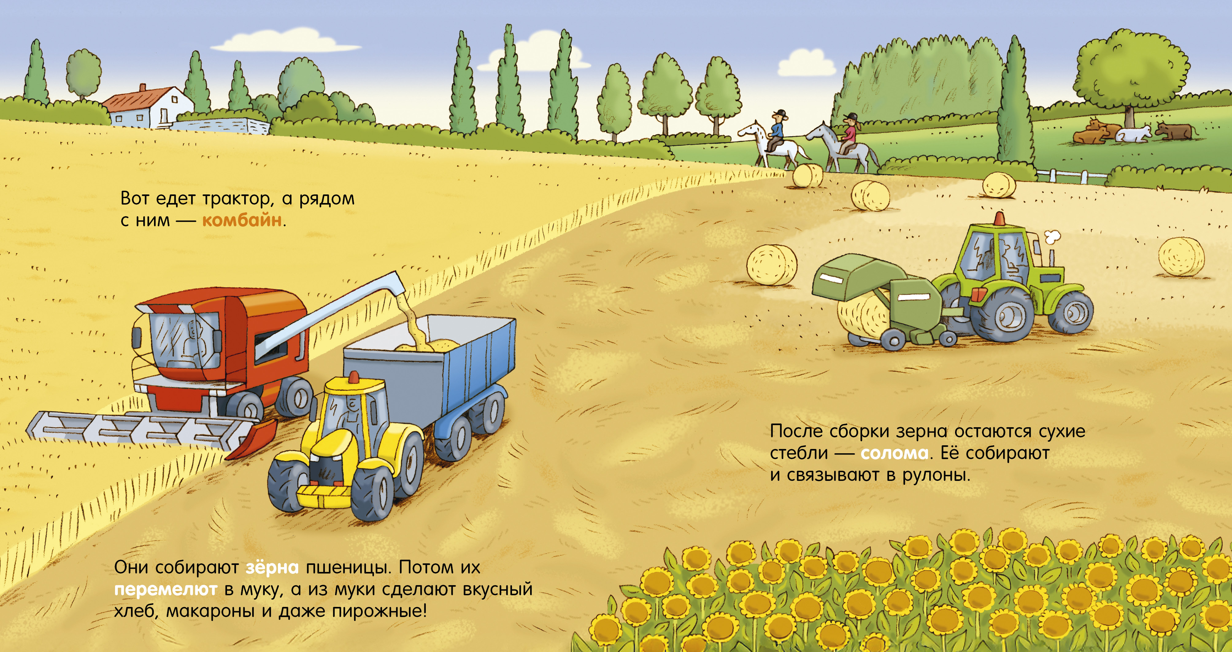 Как устроен мир? Clever Ферма - фото 5