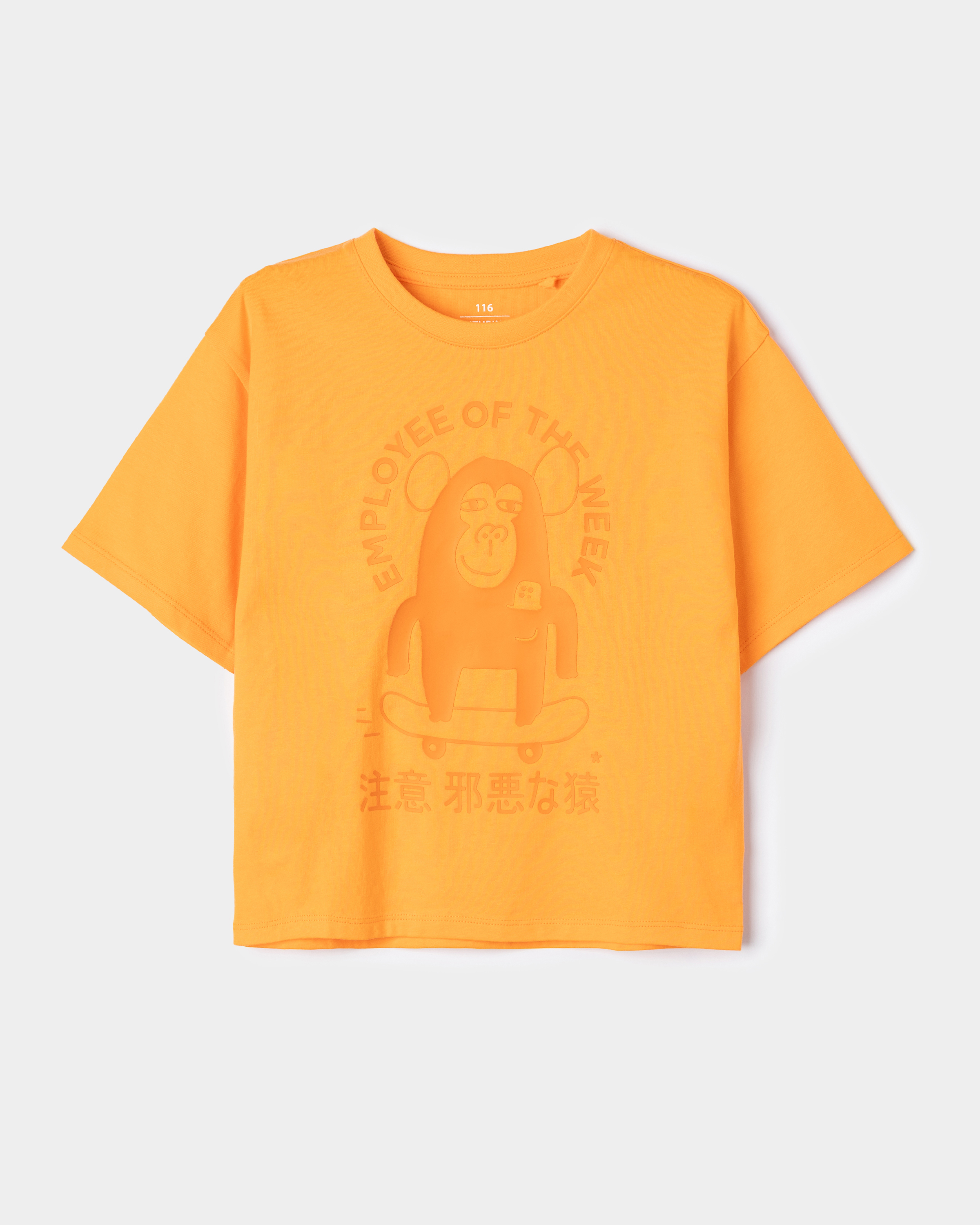 Футболка Futurino Fashion S26FF-1BJ05kb-22 - фото 1