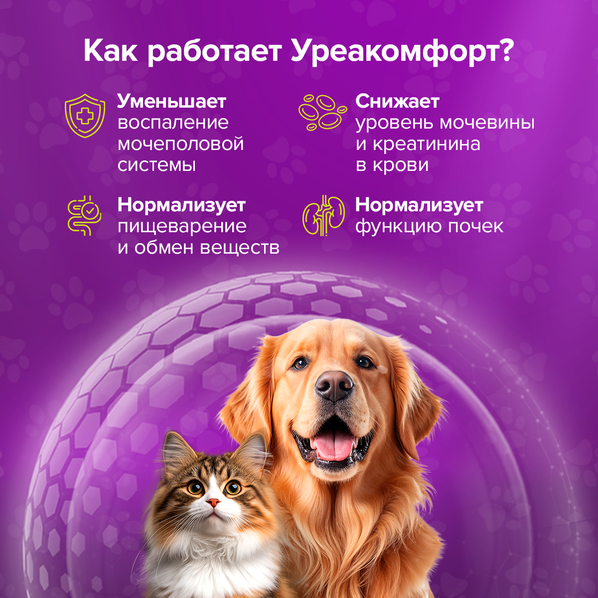 Кормовая добавка Pets health Поддержка мочеполовой системы и почек, профилактика цистита, снижение мочевины - фото 2