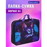Папка-сумка Brauberg портфель для бумаг с ручками на молнии