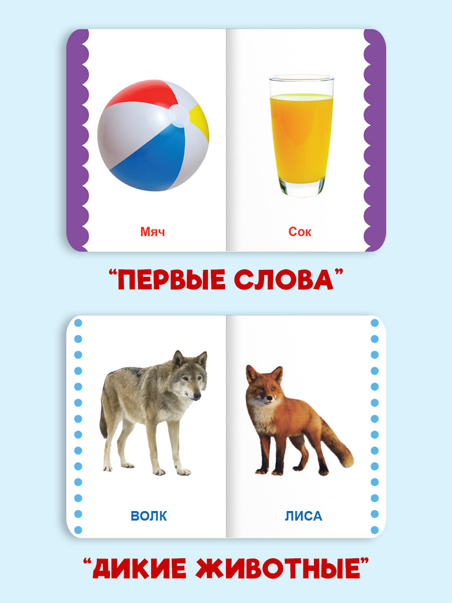 Книжки Проф-Пресс картонные мини. развивающие для малышей. Набор из 4 шт. Первые слова - фото 5