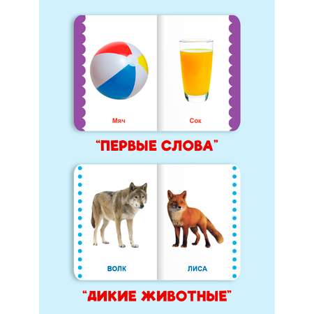 Книжки Проф-Пресс картонные мини. развивающие для малышей. Набор из 4 шт. Первые слова