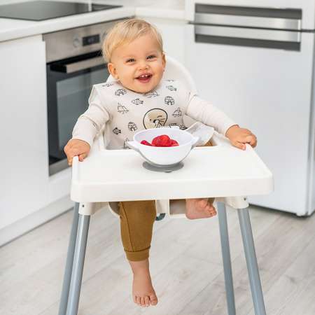Набор посуды Babyono 300 мл 2 шт. в ассортименте