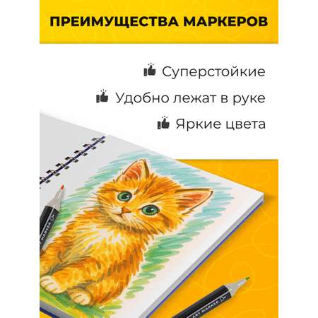 Скетчмаркеры WBZ 24 цв.