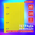 Тетрадь со сменным блоком Brauberg клетка 120 лист.