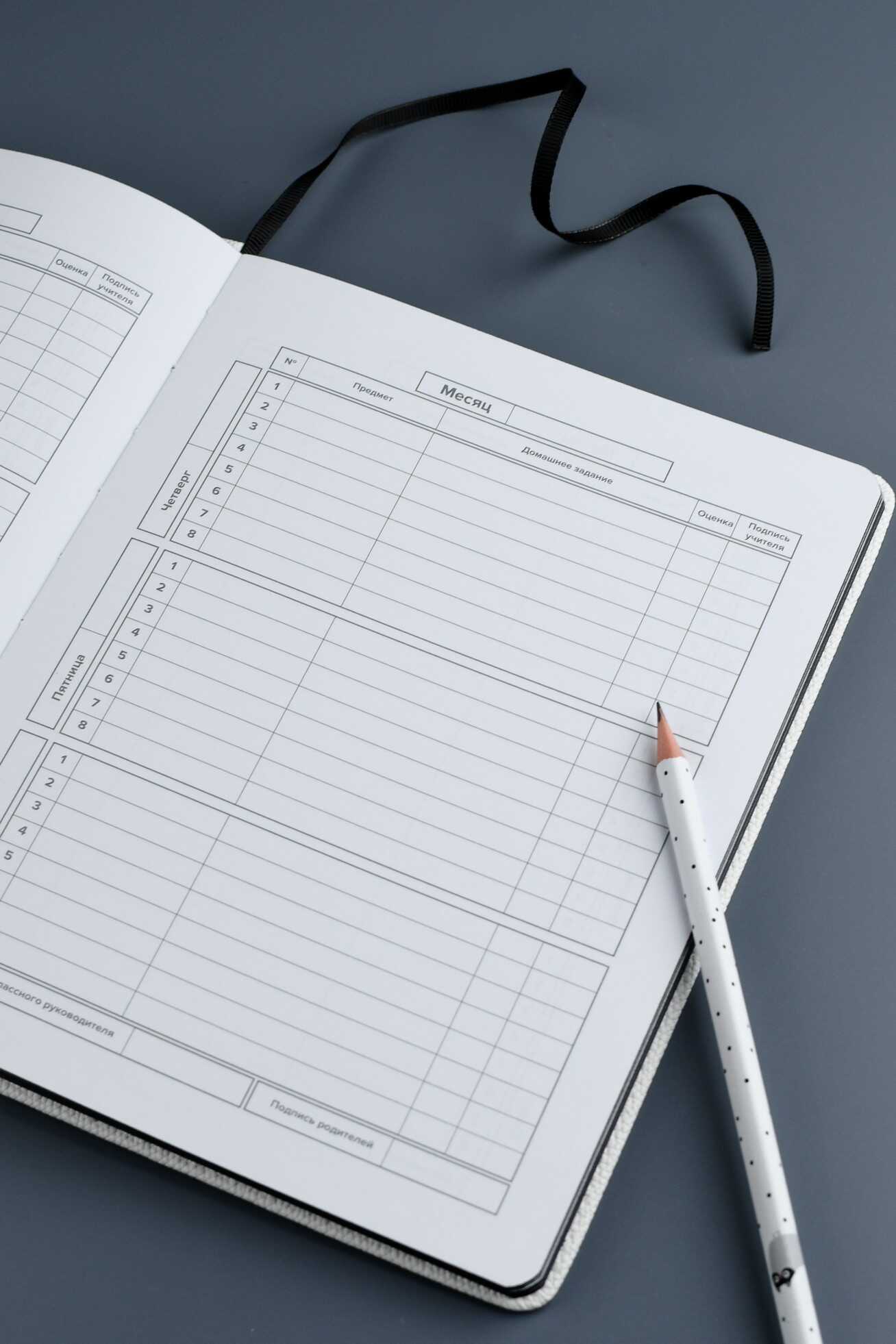 Дневник школьный Феникс + Черный кот - фото 7