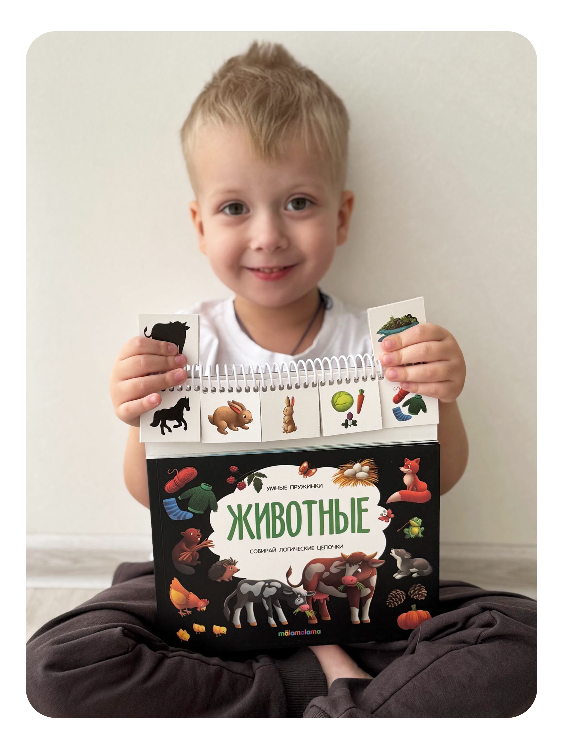 Энциклопедия для малышей Malamalama Развивающая книга Животные - фото 7