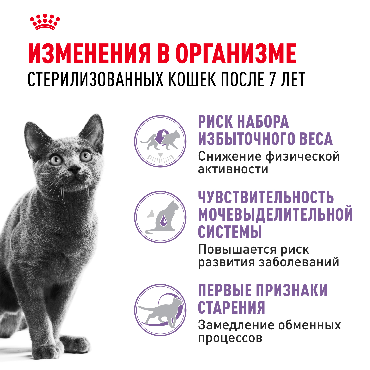 Корм сухой для кошек ROYAL CANIN Sterilised 400г пожилых стерилизованных - фото 2