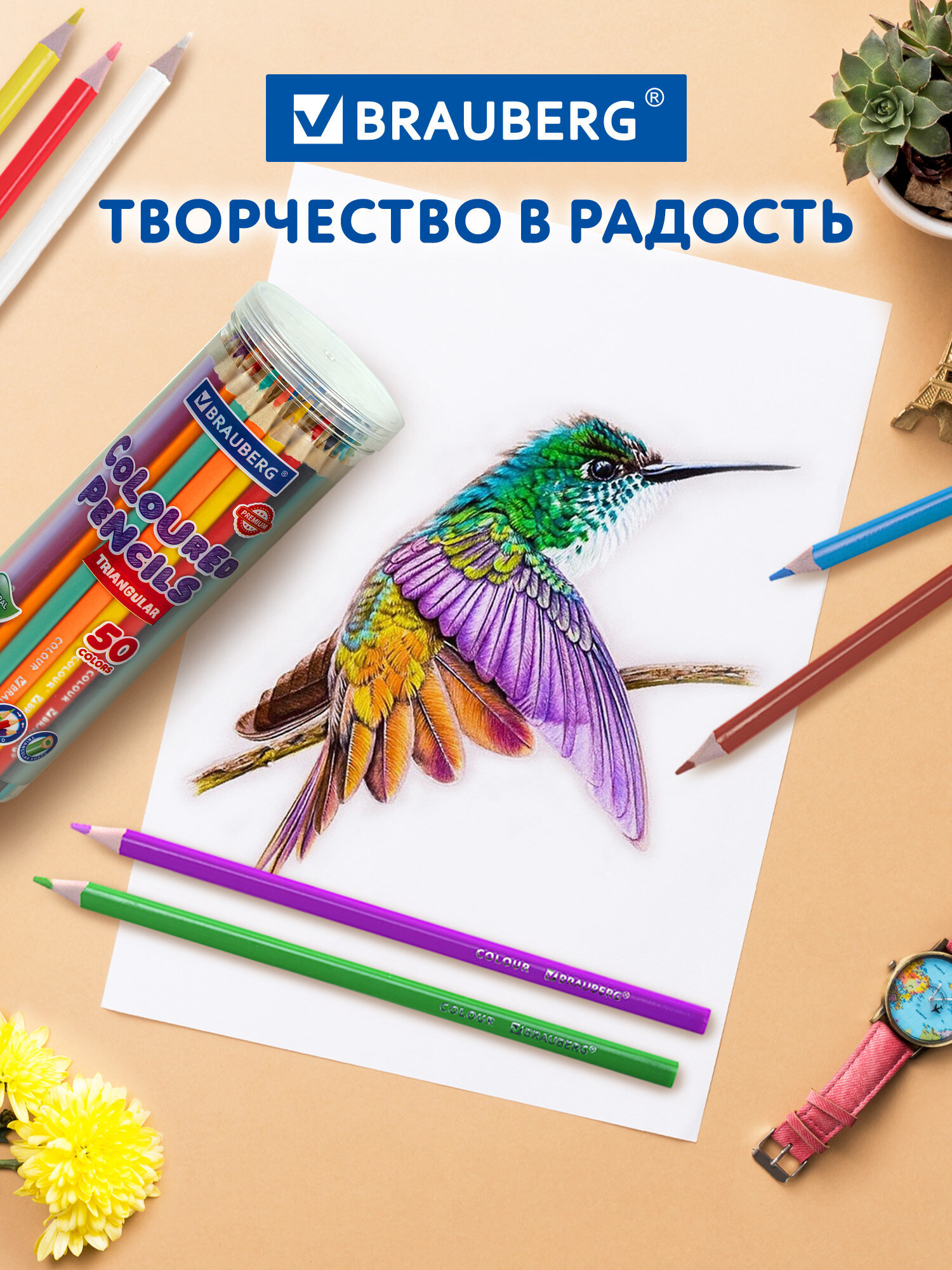 Карандаши цветные Brauberg 50 шт. - фото 7