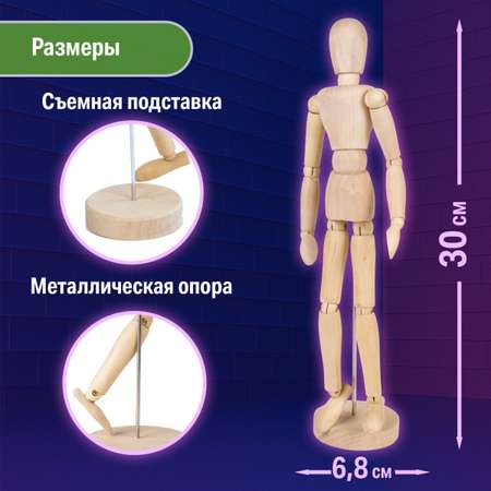 Манекен Brauberg