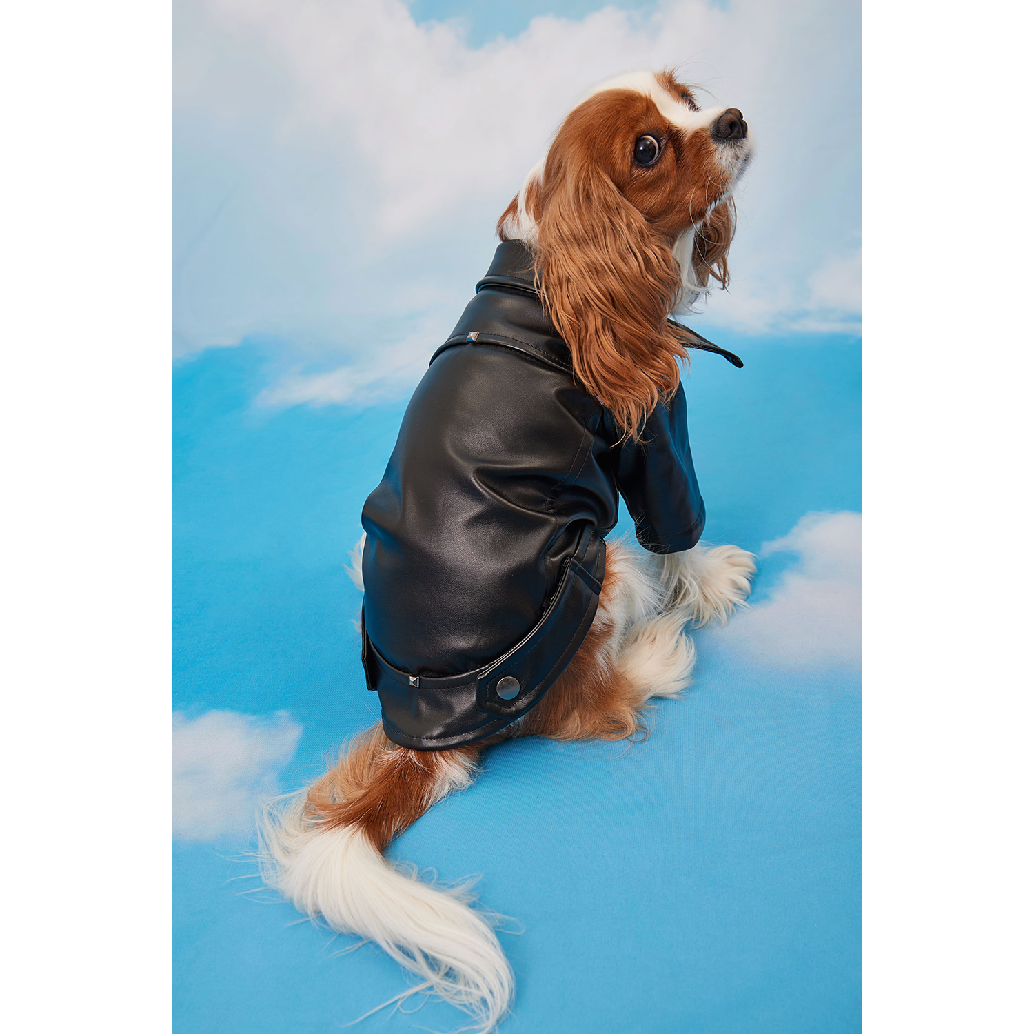 Куртка для собак Зоозавр черная 25 - фото 10