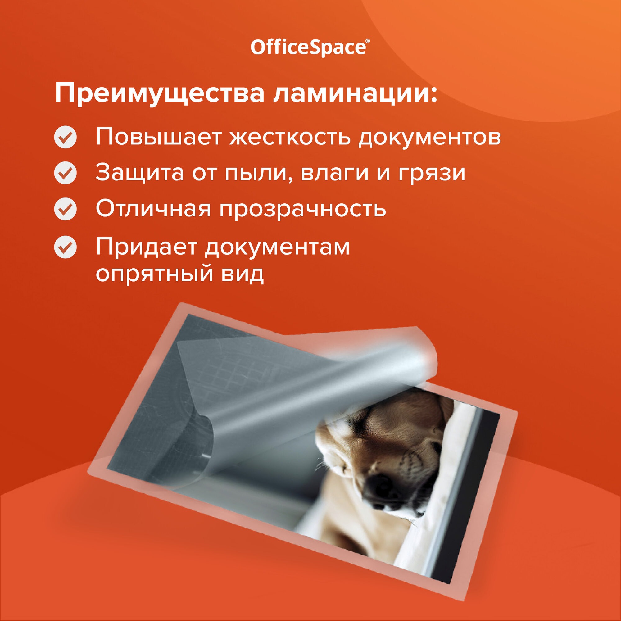 Файл OfficeSpace А4 - фото 2