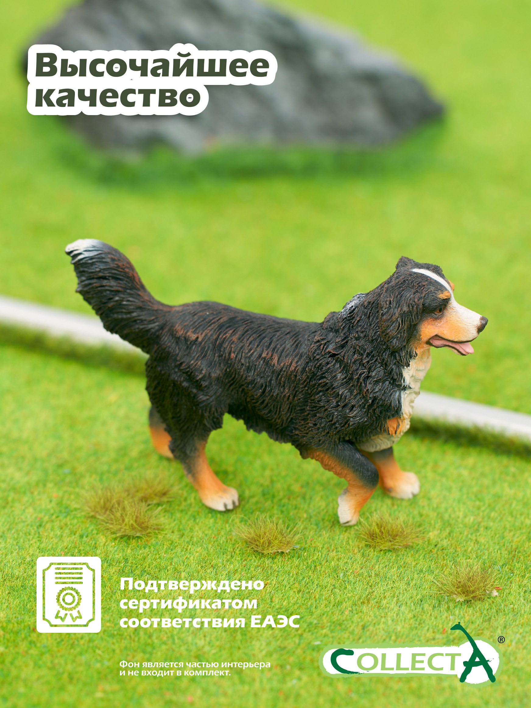 Фигурка Collecta Бернский зенненхунд - фото 5