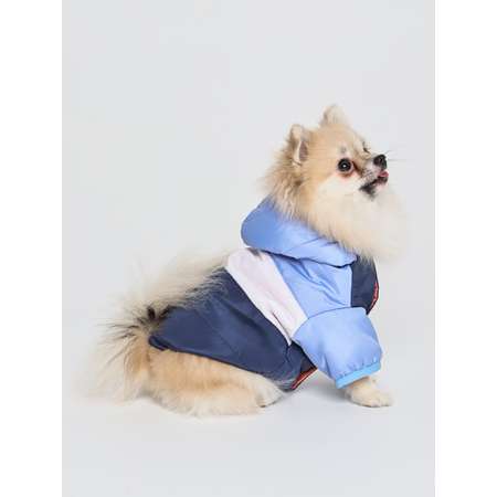 Куртка для собак PIFPAF DOG