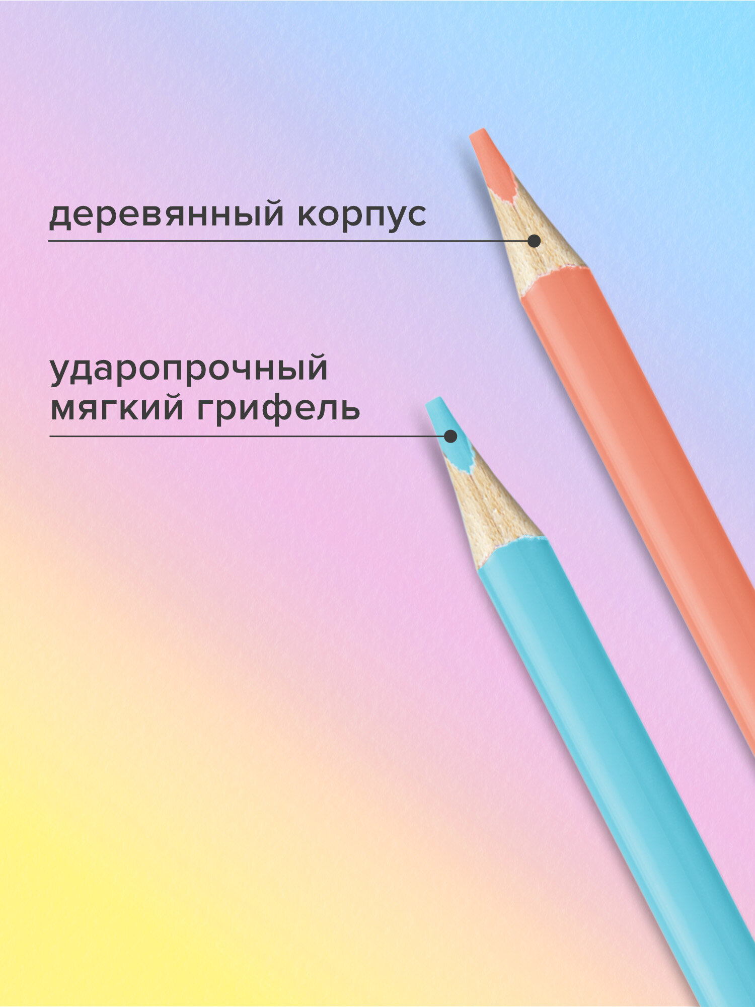 Карандаши цветные Brauberg 24 шт. - фото 5