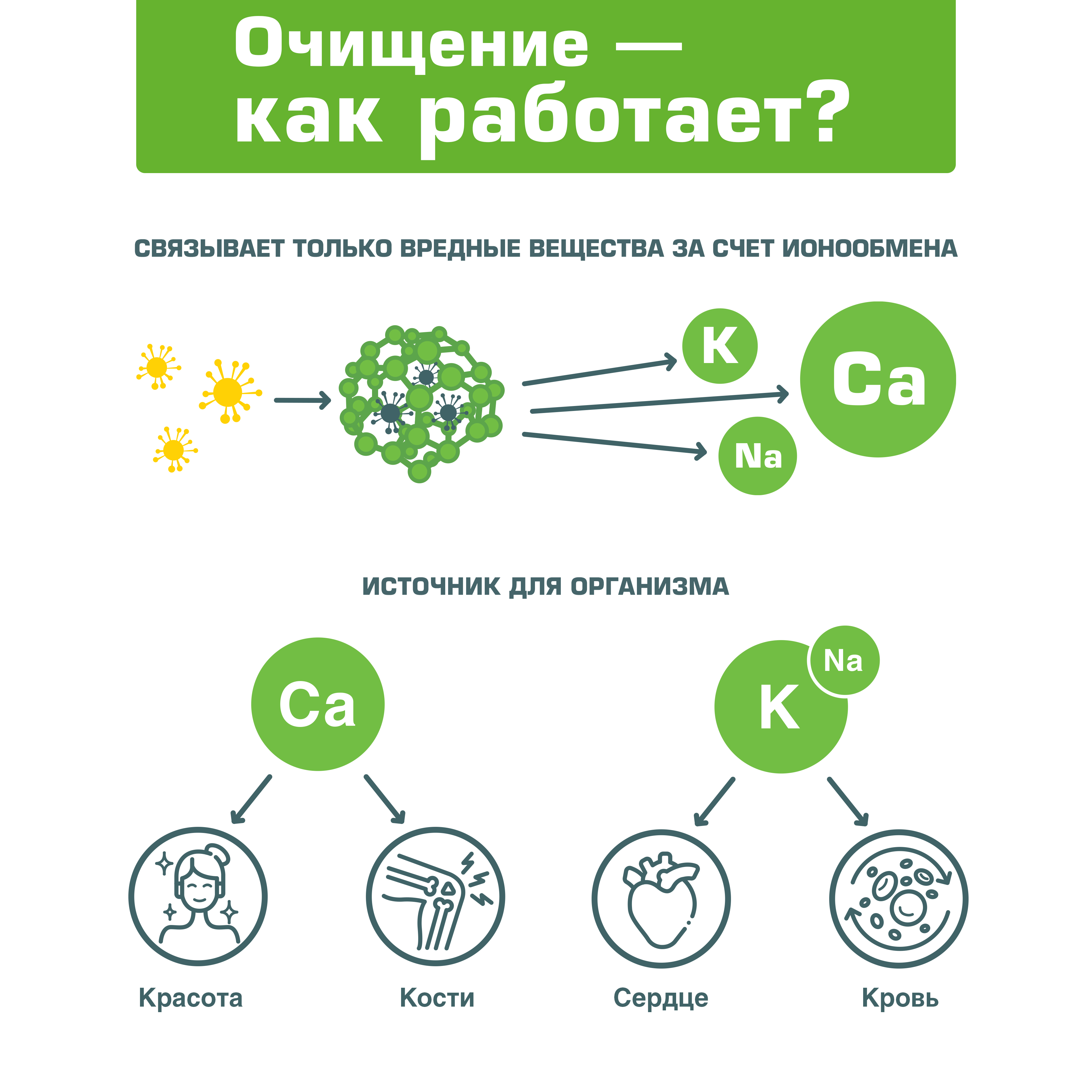Цеолит пищевой детокс Bionormula для очистки и детоксикации организма 1000 гр - фото 4