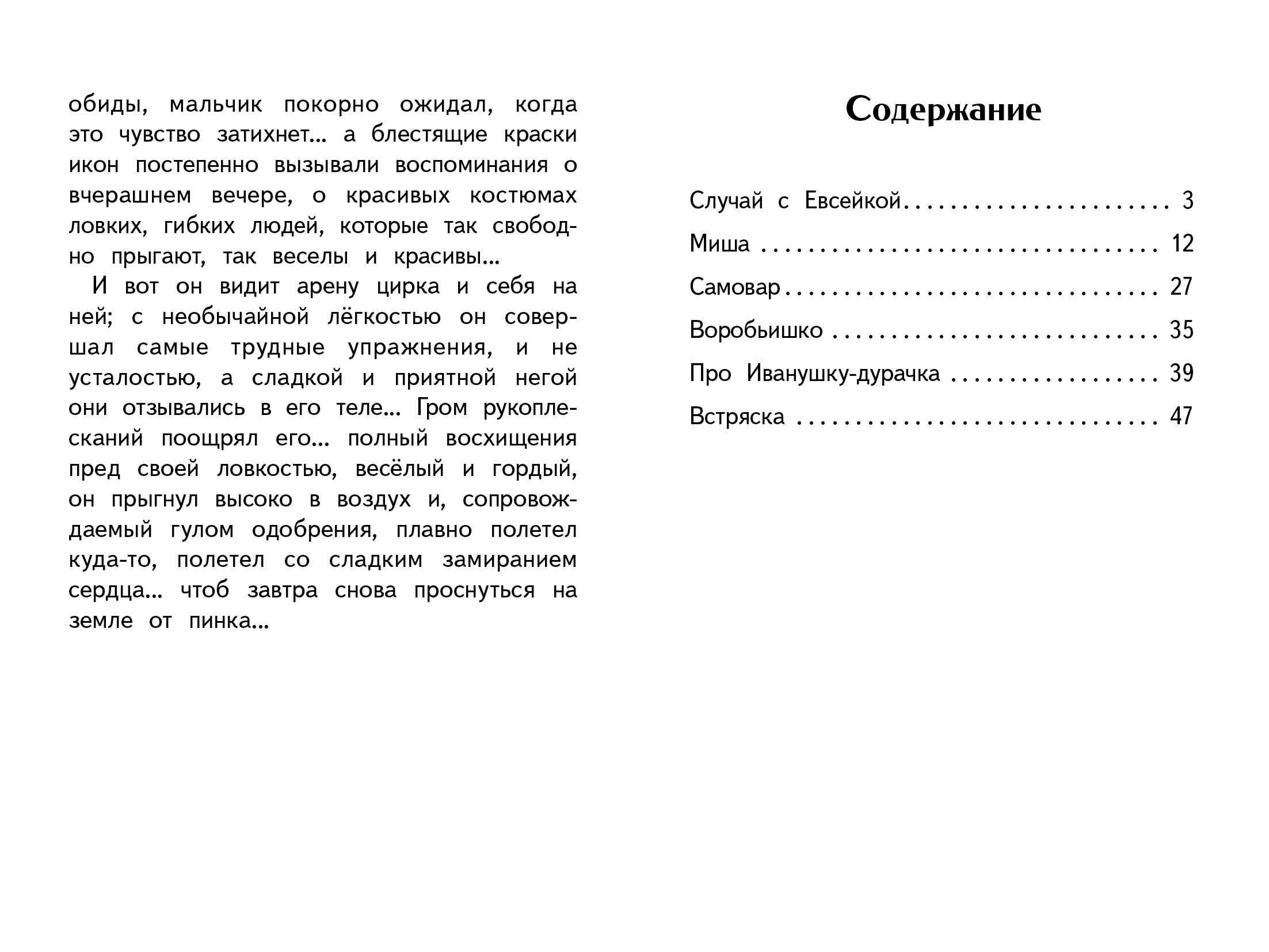 Книга СТРЕКОЗА Внеклассное чтение - фото 5