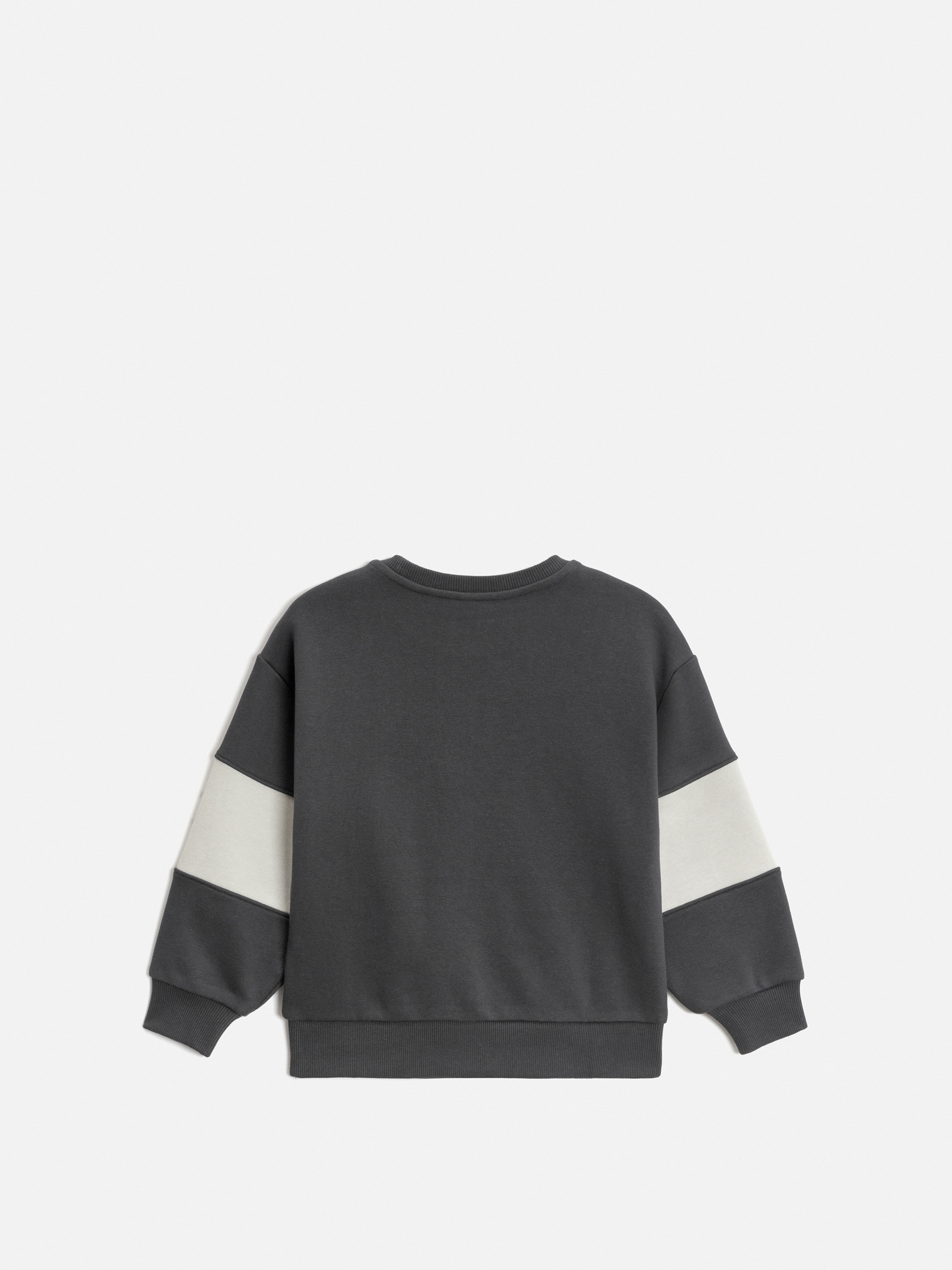 Свитшот Acoola 20130170027_0094463 - фото 4