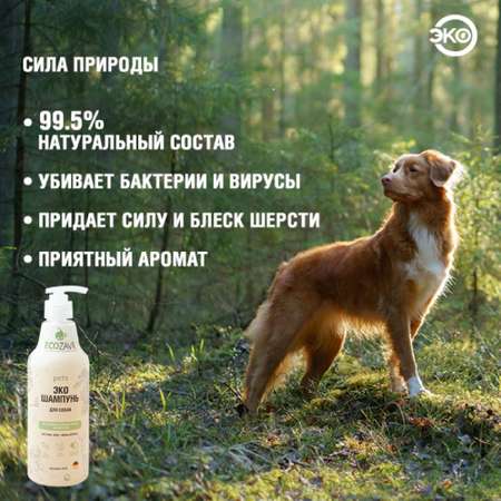 Шампунь для собак ECOZAVR с антибактериальным эффектом Алоэ 500мл