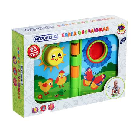 Игрушка Игроленд книжка