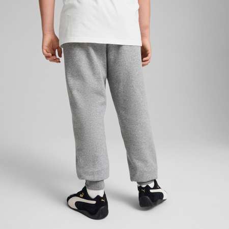 Брюки Puma