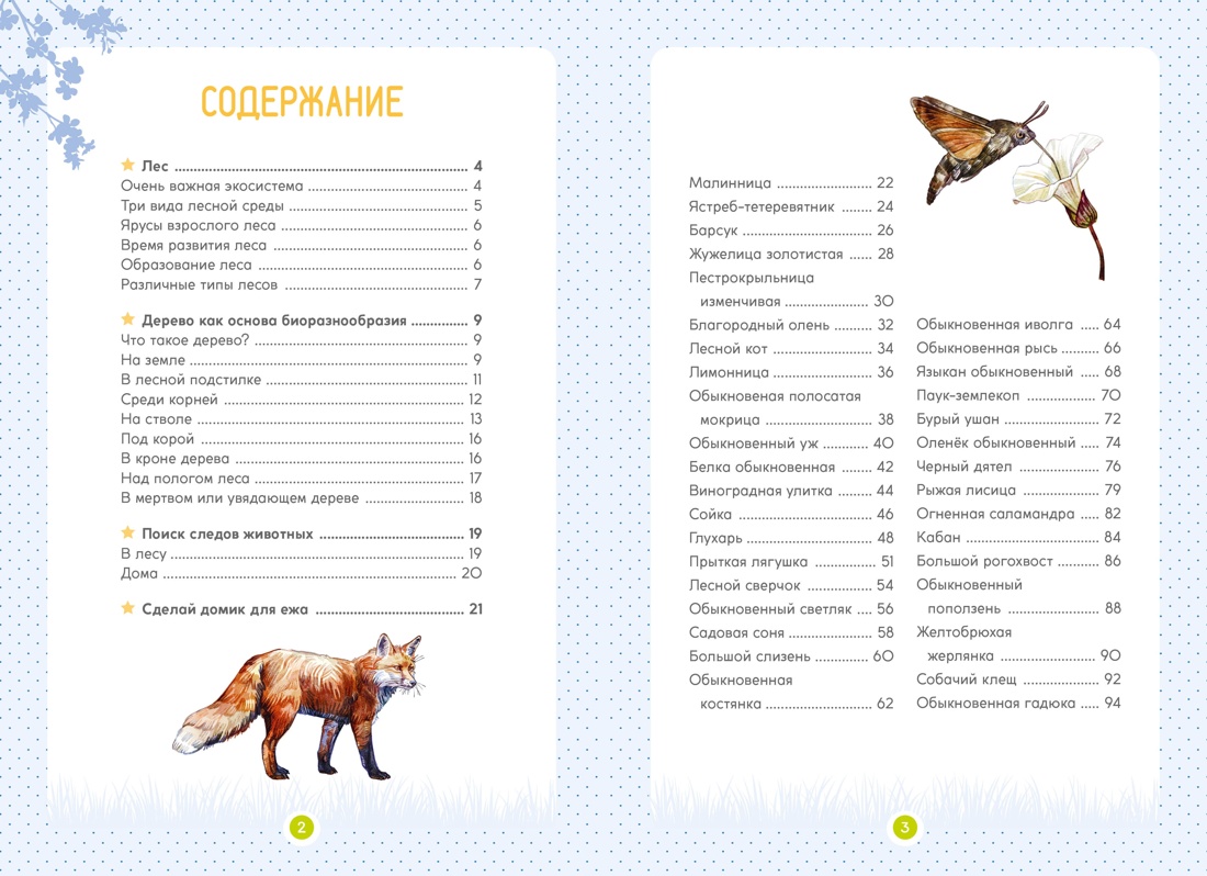 Книга Махаон Весь мир природы для школьника. Большой комплект из 5 книг - фото 9