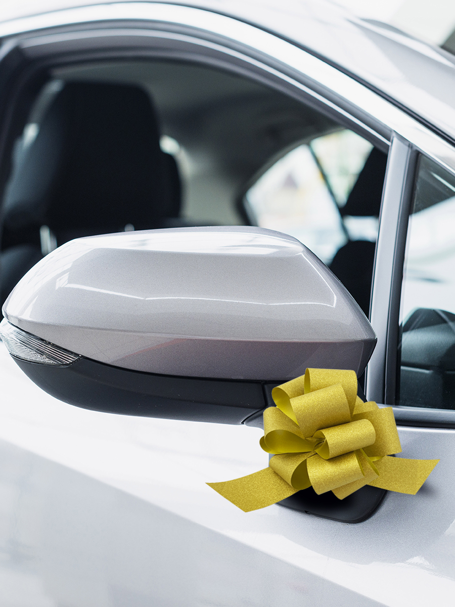 Набор бантиков AXLER абор для подарков 5 шт на липучке - фото 8