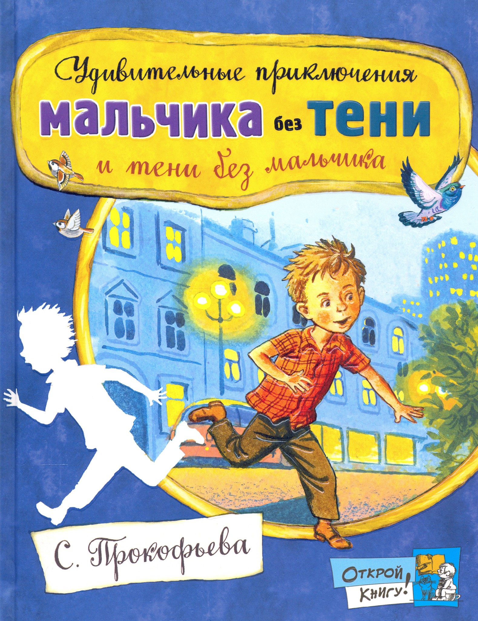 Книга Лабиринт Удивительные приключения мальчика без тени - фото 1