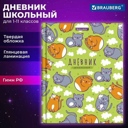 Дневник школьный Brauberg для девочек мальчика 1-11 класс