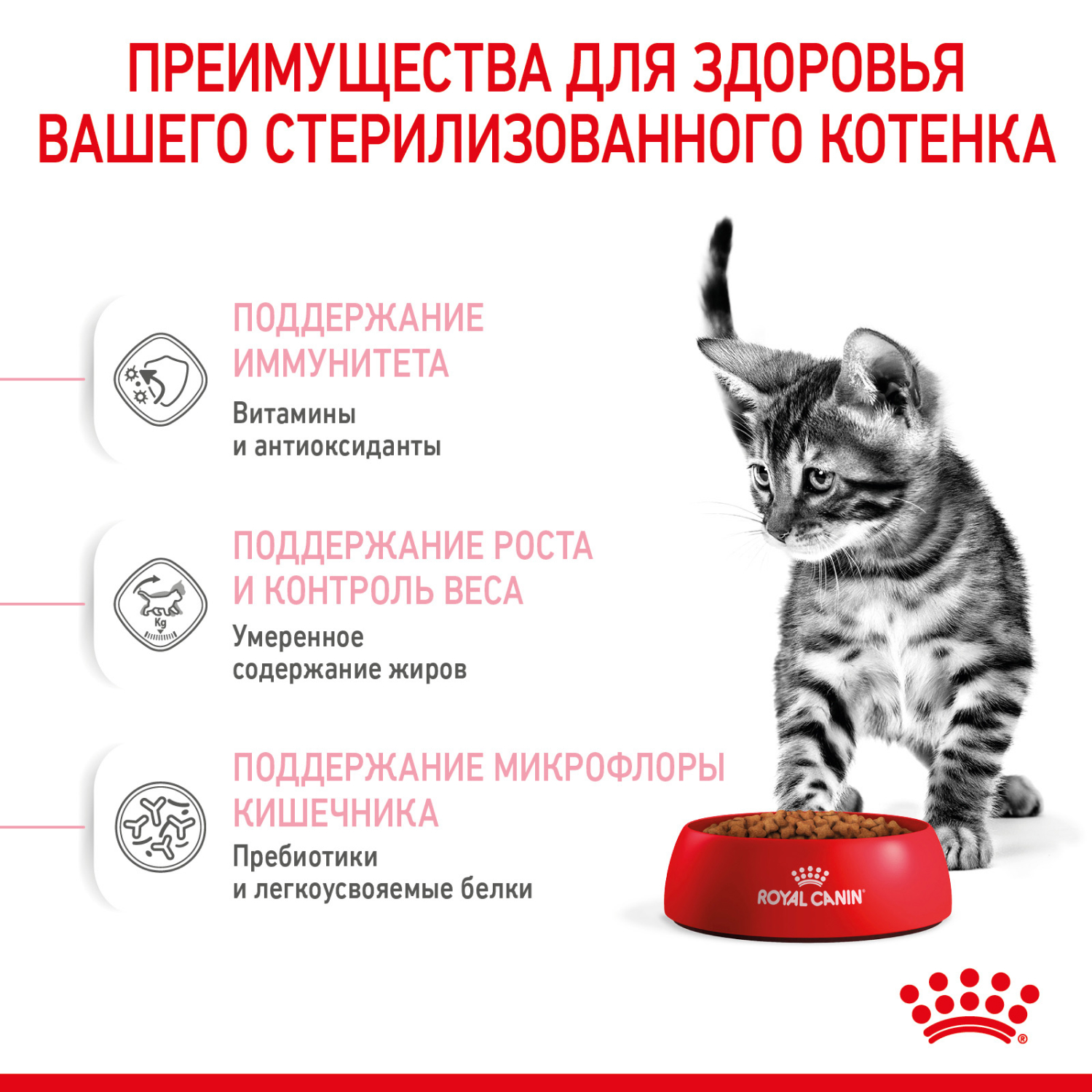 Корм сухой для котят ROYAL CANIN Sterilised 3.5кг стерилизованных - фото 5