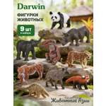 Игровой набор DARWIN Животные Азии 9 шт